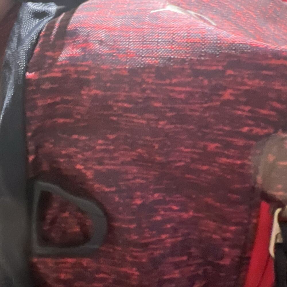 Eddie Bauer Backpack Blue/pink Stowaway Convertible Travel Light Outdoor 20 L - Picture 3 of 7